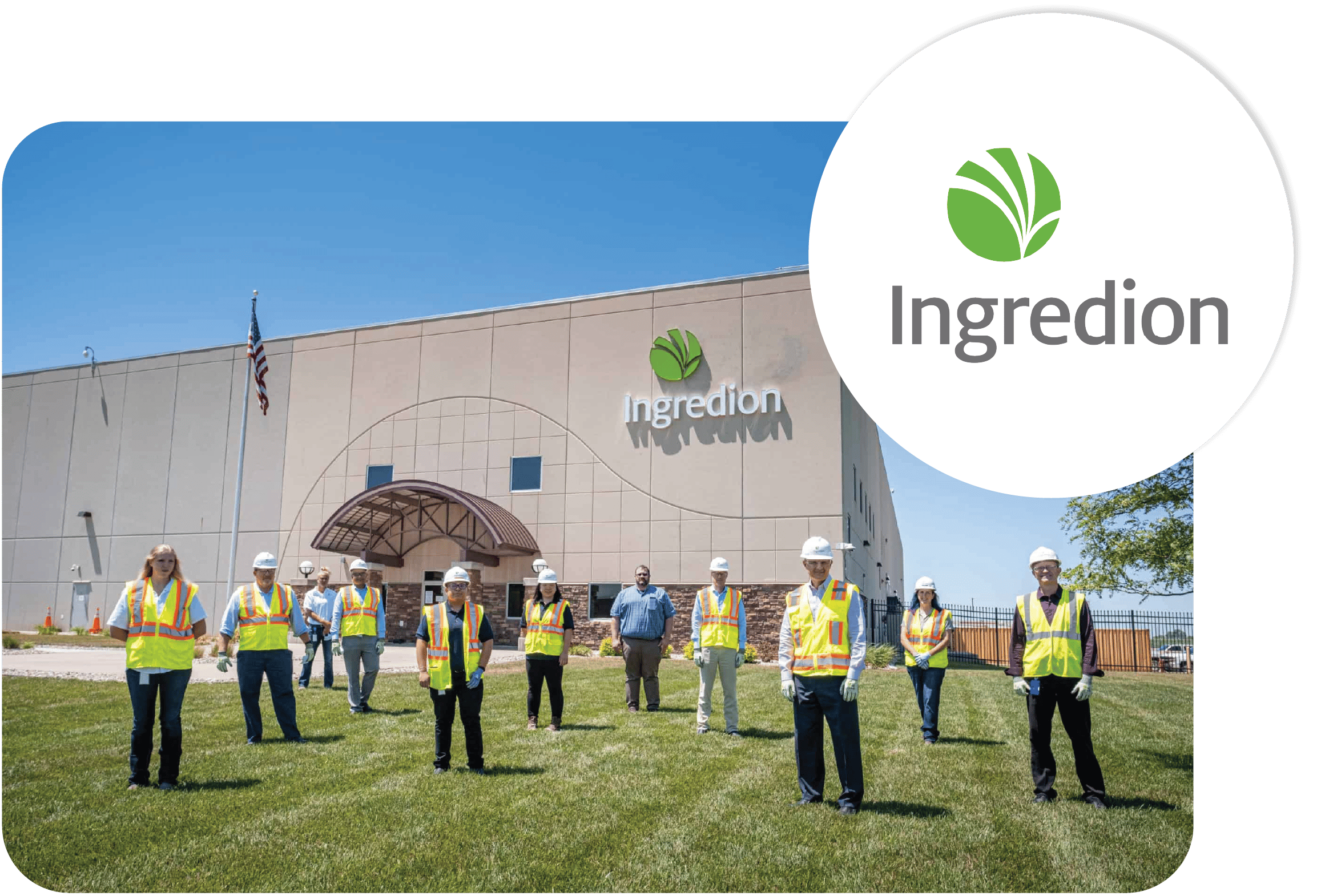 Ingredion x Sparrow Connected - Feed Banner