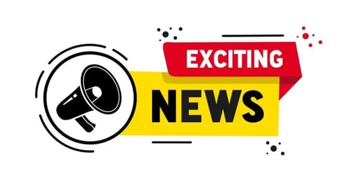 A vibrant news logo design with a megaphone, indicating exciting news.